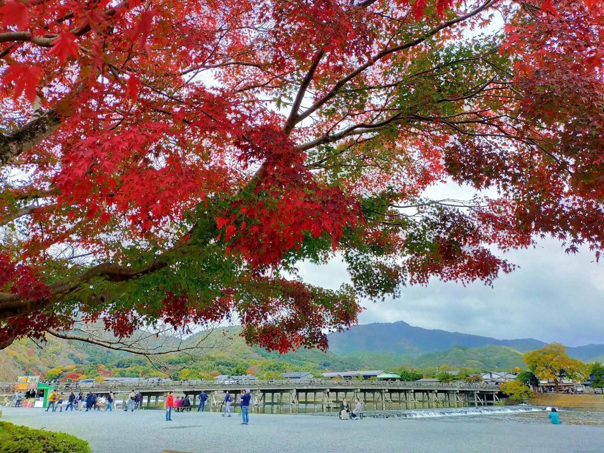 Kadensho, Arashiyama Onsen, Kyoto - Kyoritsu Resort Eksteriør billede